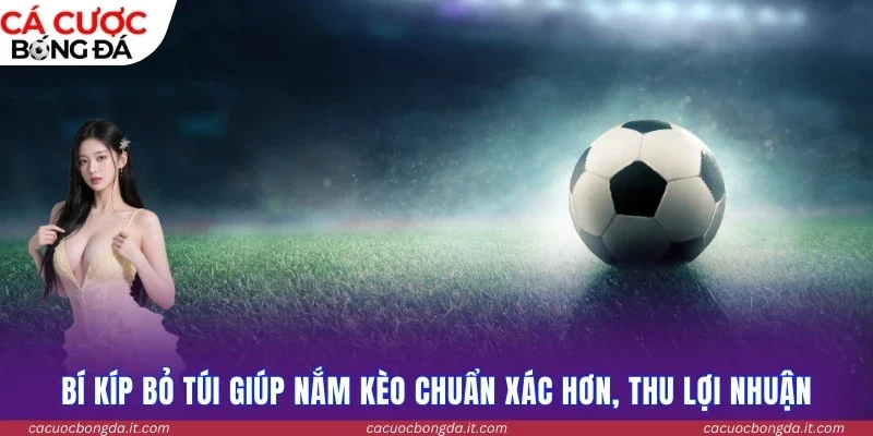 Bí kíp bỏ túi giúp nắm kèo chuẩn xác hơn, thu lợi nhuận