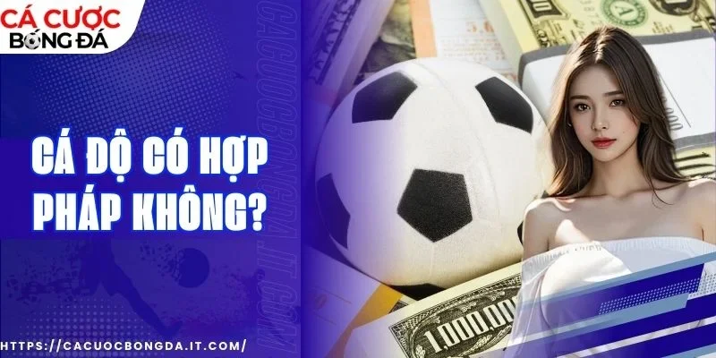 Tìm hiểu thêm về nhà cái trên các diễn đàn 