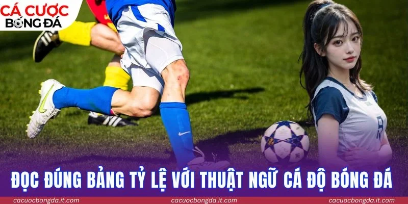 Đọc đúng bảng tỷ lệ với thuật ngữ cá độ bóng đá chuẩn