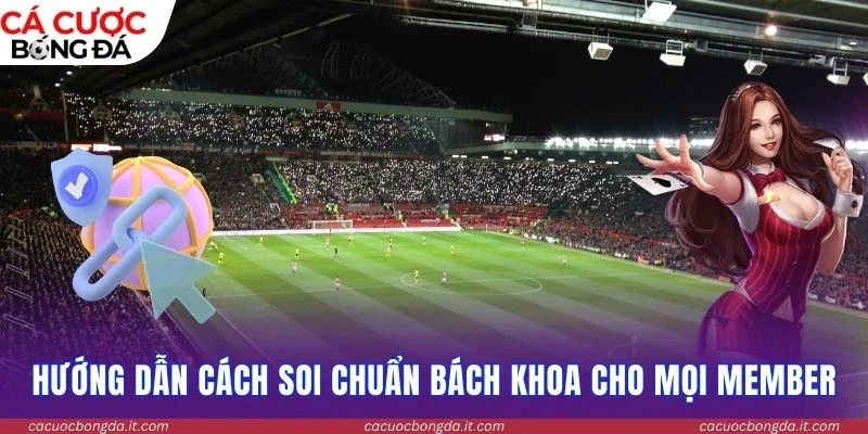 Hướng dẫn giải quyết các vấn đề thường gặp cho member