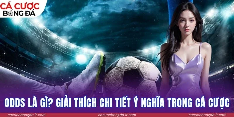 Odds là gì? Giải thích chi tiết ý nghĩa trong cá cược