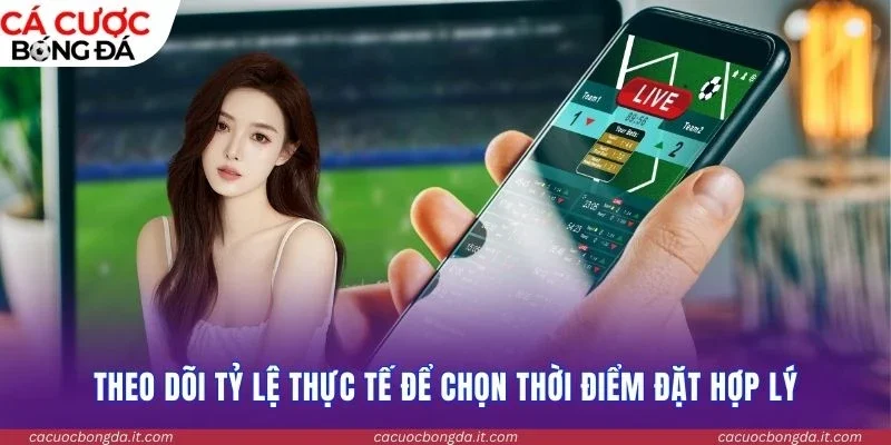 Theo dõi tỷ lệ thực tế để chọn thời điểm đặt hợp lý