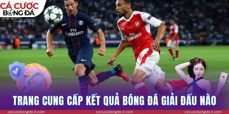 Trang cung cấp kết quả bóng đá giải đấu nào
