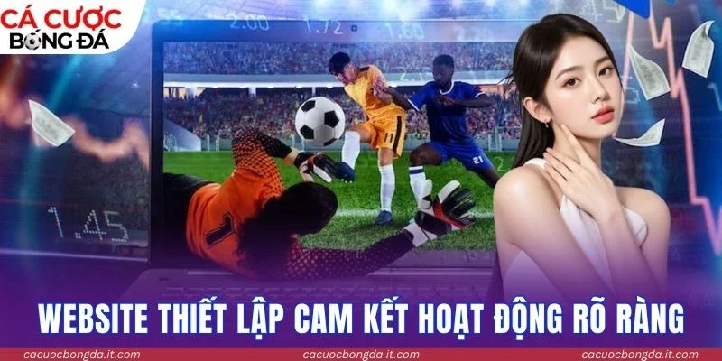 Website thiết lập cam kết hoạt động rõ ràng