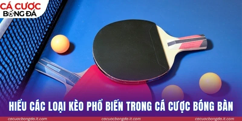 Bí quyết hiểu các loại kèo phổ biến trong cá cược bóng bàn