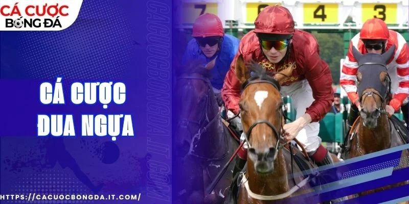 Chơi hiệu quả hơn khi trách bẫy kèo ảo 