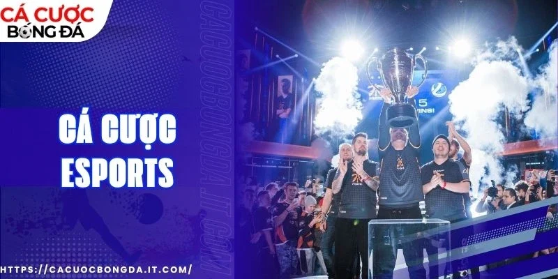 Chinh phục đấu trường ảo bằng chiến thuật và bản lĩnh