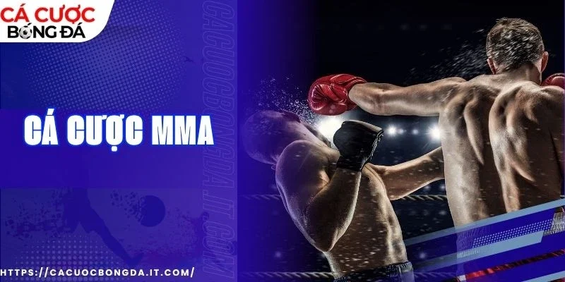 Khám phá cách đặt kèo, bí kíp xuống tiền cực đỉnh