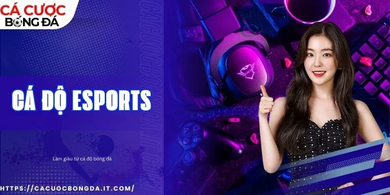 Bỏ túi tips hay từ cao thủ để đặt cược chuẩn