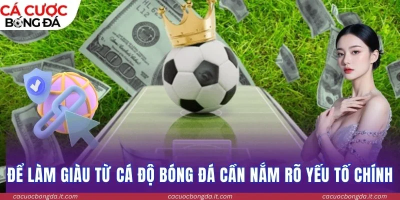 Để làm giàu từ cá độ bóng đá cần nắm rõ yếu tố chính
