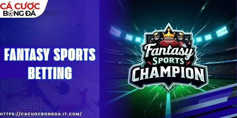 Khám phá xu hướng phát triển và tương lai đầy hứa hẹn