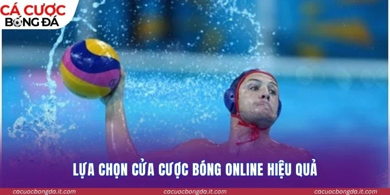 Lựa chọn cửa cược bóng online hiệu quả