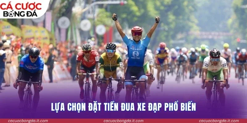 Lựa chọn đặt tiền đua xe đạp phổ biến