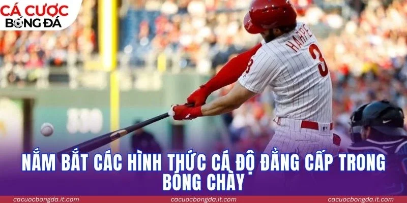 Nắm bắt các hình thức cá độ đẳng cấp trong bóng chày