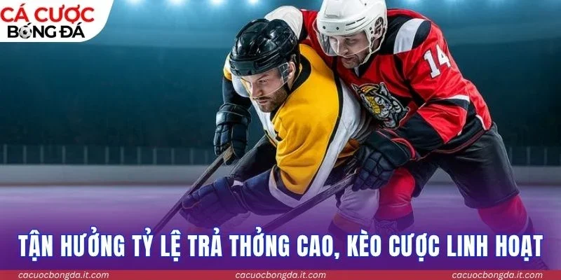 Tận hưởng tỷ lệ trả thưởng cao, kèo cược linh hoạt