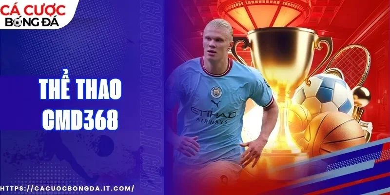 4 điểm nổi bật của sảnh Thể thao CMD368