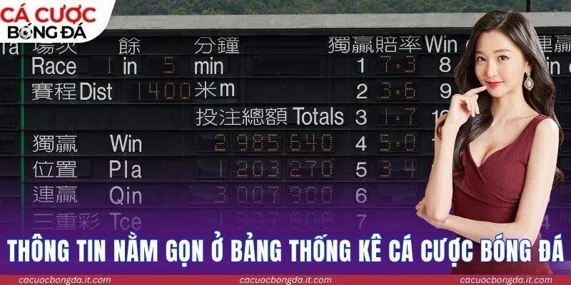 Thông tin nằm gọn ở bảng thống kê Cá cược bóng đá