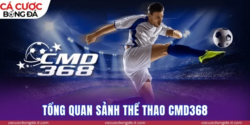 Tổng quan sảnh Thể thao CMD368
