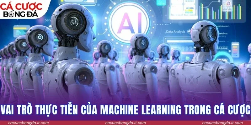 Vai trò thực tiễn của Machine Learning trong cá cược