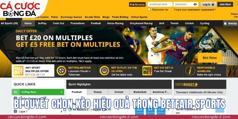 Bí quyết chọn kèo hiệu quả trong Betfair Sports