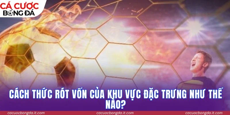 Cách thức rót vốn của khu vực đặc trưng như thế nào?