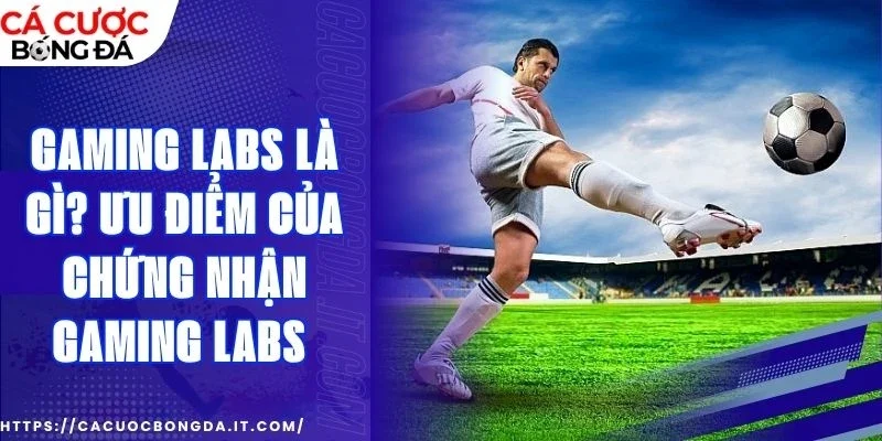 Tầm quan trọng của chứng nhận Gaming Labs 