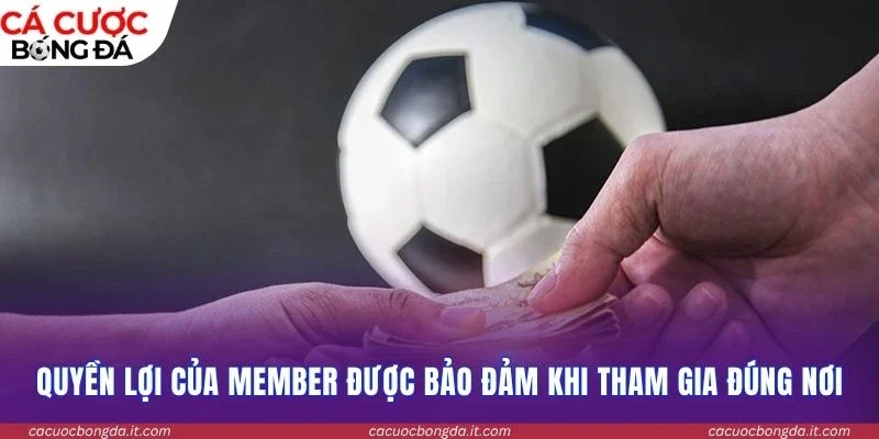 Quyền lợi của member được bảo đảm khi tham gia đúng nơi